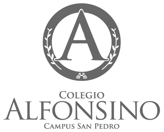 Alfonsino logo gris