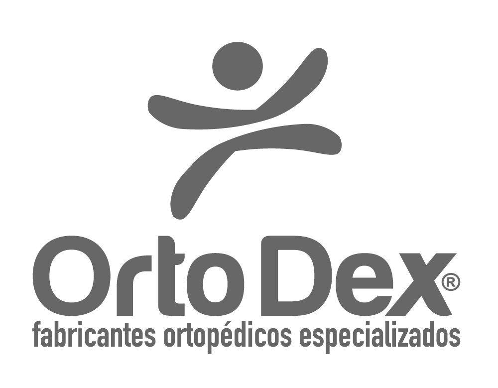 Ortodex logo gris